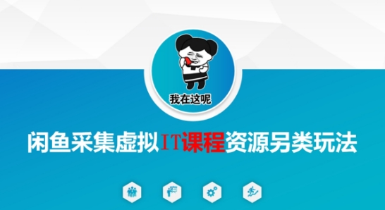 闲鱼采集虚拟IT课程资源另类玩法，干货满满-蟋蟀哥创业工作室