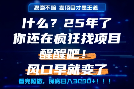什么？25年你还在疯狂找项目做，醒醒吧，看完这些你全都懂了！【揭秘】-蟋蟀哥创业工作室