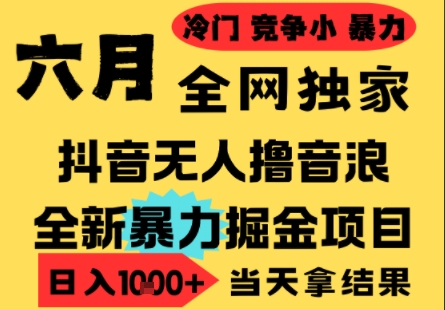 25年6月高爆抖音无人直播最新撸音浪掘金项目，小白可做，无脑日入1k+，门槛低可批量矩阵【揭秘】-蟋蟀哥创业工作室