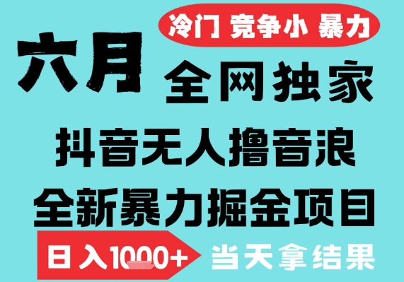 2025年6月高爆抖音无人直播最新撸音浪掘金项目，无脑日入1k+，低门槛小白可做，可矩阵放大【揭秘】-蟋蟀哥创业工作室