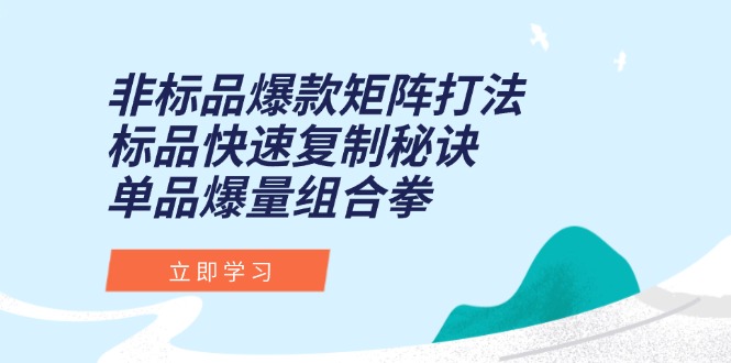 （15068期）非标品爆款矩阵打法，标品快速复制秘诀，单品爆量组合拳-蟋蟀哥创业工作室